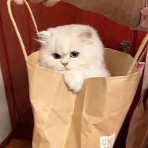 爱你3000（沙雕版）