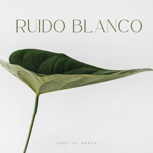 Conservación De Las Ondas