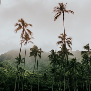 Dj Naatsu Waa Kiiinu