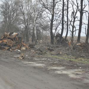 We can look at it then