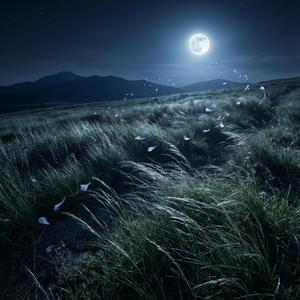 ฝากลมไปกอดเธอ