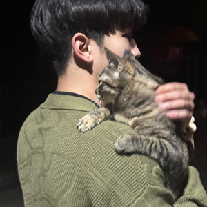 一半晚安（罗言）