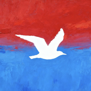 候鸟(Feat.RawPro王扎)