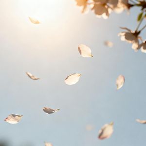 碰花碰草别碰情