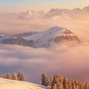 钢琴白噪音里的入眠序曲