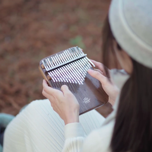 Merry Christmas Mr. Lawrence （拇指琴）