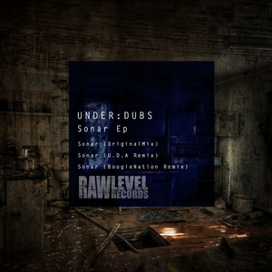 Sonar (BoogieNation Remix)