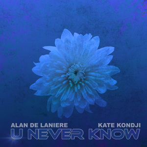 U Never Know (Original Mix)