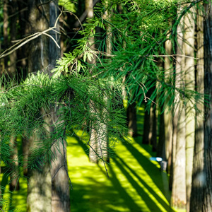 快乐是暂时拥有不必快乐的资格