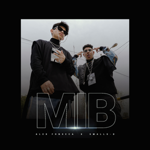 MIB