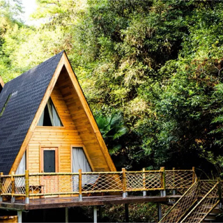 林间小屋|林间有暖阳 常作客小屋