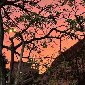 大人中（茫茫人海里游）