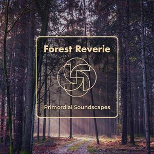 Forest Reverie (Part 2)