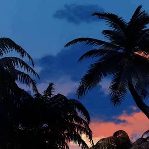 Tropical rain forest