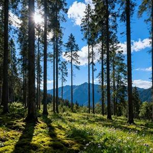 38度6(Cover 黑龙)