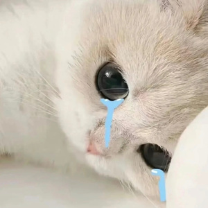 你哭花了妆也总是卡粉