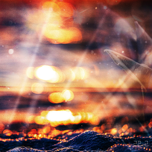 Sunny day, Sunny life