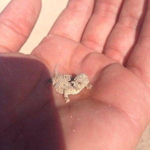 Stompdash**outu (sped up)