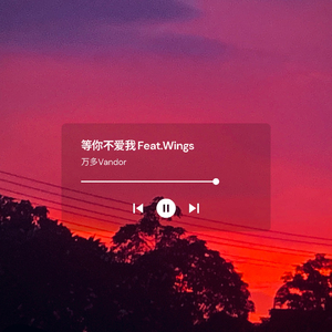等你不爱我Feat.Wings