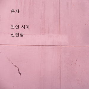 선인장