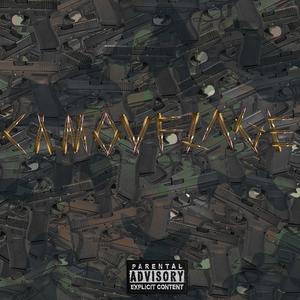 CAMOUFLAGE (feat. AreYouSpazz)