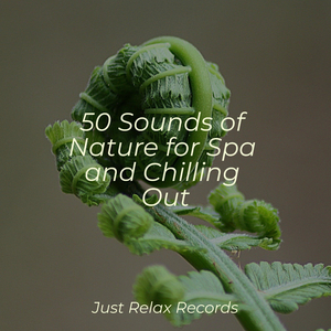 Echoes of Dying Flames