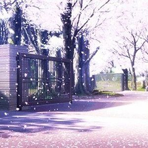 十一月的某一天