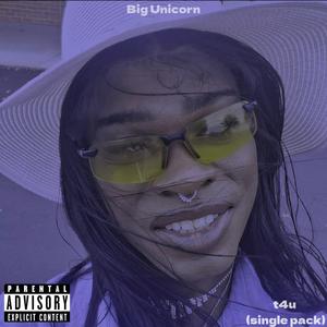 T4U