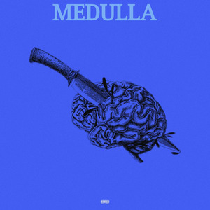 Medulla