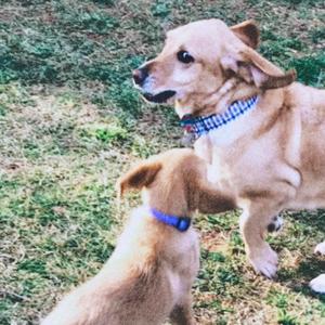 (I Don't Need No) Time Machine