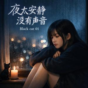 夜太安静 没有声音