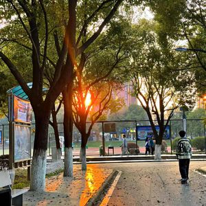 未来回响Prod. by Bvlloon