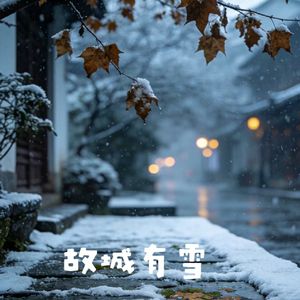 故城有雪