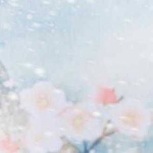 叙事诗（翻自 黄诗扶）