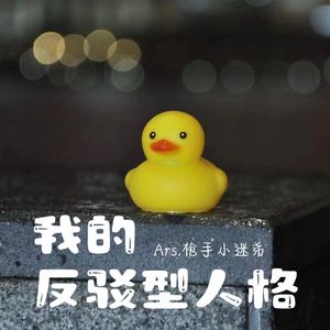 我的反驳型人格