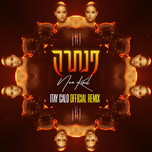 פנתרה (Itay Galo Official Remix)