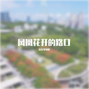 凤凰花开的路口