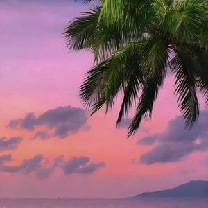 你属于天意那种命中注定