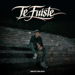 Te Fuiste