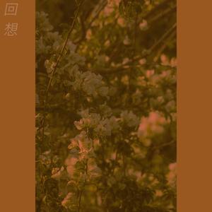 reminiscing (Youtube version)