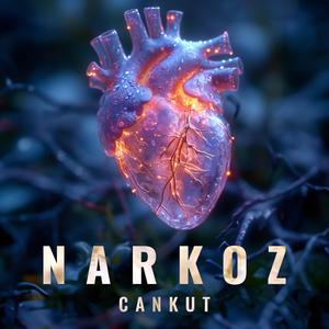 NARKOZ