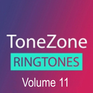 Blood Sweat and Tears (Bts (Cover))