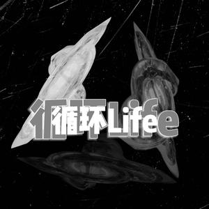 循环Life