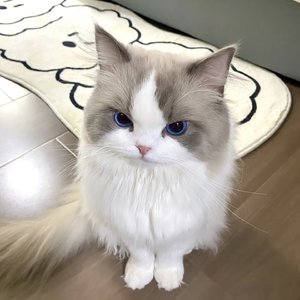 像晴天像雨天(Live)