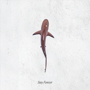 Stay Forever