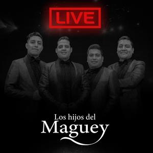 A LA MUJER QUE TANTO AMÉ (Live)