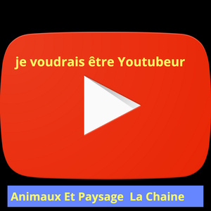 Je voudrais être youtubeur