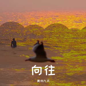 向往