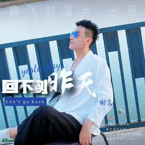 回不到昨天（DJ枫宇辰）