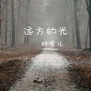 远方的光